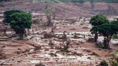 Presidente da Samarco afirma que barragem de Mariana não será reconstruída