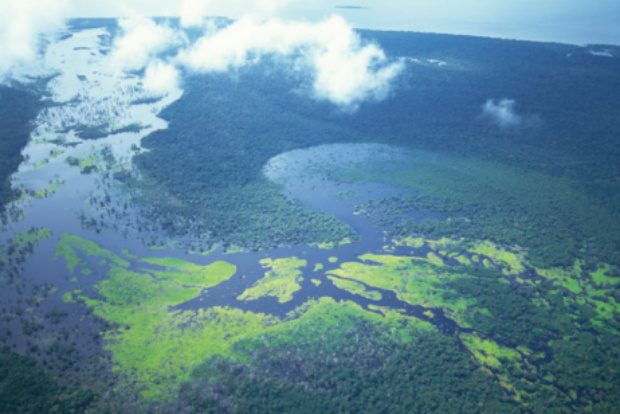 Amazônia Azul: um tesouro nas águas do Atlântico