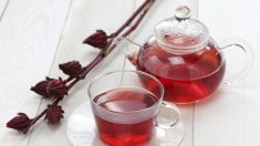 Chá de hibisco: ótimo para perder peso, aliviar inflamações e diminuir a pressão arterial