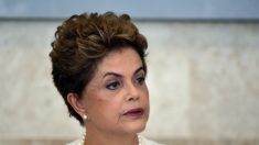 Em pronunciamento, Dilma pede engajamento contra mosquito Aedes
