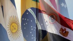Acordo com Mercosul beneficiará 78% do comércio Brasil-Egito