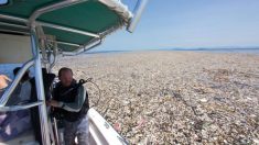 Dramático “mar de plástico e poliestireno” flutua no Caribe (Fotos)