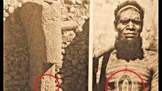 Símbolos aborígines australianos encontrados em pilar de 12 mil anos na Turquia podem abalar a história