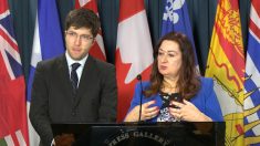 Canadá: senadora espera votar o quanto antes ‘importante’ projeto de lei contra tráfico de órgãos