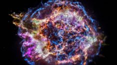Explosão estelar sugere de onde vêm elementos formadores de vida