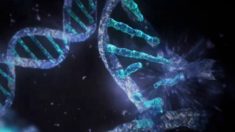 DNA: a grande enciclopédia da vida