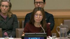 Desertora norte-coreana revela à ONU como foi forçada a abortar na prisão