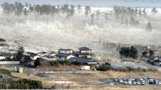 Geólogos japoneses prenunciam grande terremoto de 8,6 graus e tsunami