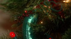 Se você vir um picles numa árvore de Natal, eis o significado