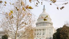 EUA: Câmara aprova lei para tentar prevenir paralisia do governo