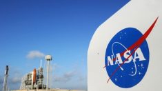 NASA lança foguete rumo à Lua com cinzas e amostras de DNA de ex-presidentes e artistas