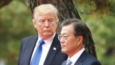 Antes de reunião Trump-Kim, Coreia do Sul envia sinais contraditórios aos EUA