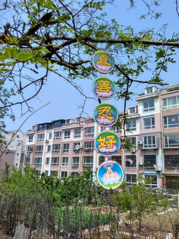 Bandeira colocada na cidade de Dalian, província de Liaoning, diz: “Verdade-Compaixão-Tolerância é bom” (Minghui.org)