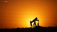 Opep+ confirma extensão em corte de oferta de petróleo até 31 de julho