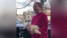 Garota segura o filhote de cachorro da amiga – mas quando ela descobre que é um presente ela fica aos prantos
