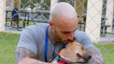 Presidiário adestra cão na prisão, mas acaba se apaixonando e transformando sua vida