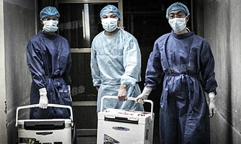 Práticas de transplante de órgãos da China são questionadas durante Congresso Mundial em Madrid