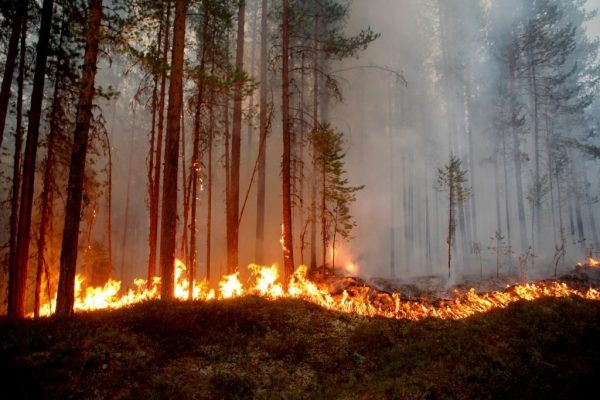 Incêndio em Karbole, na Suécia, em 15 de julho de 2018 (Mats Andersson/AFP/Getty Images)
