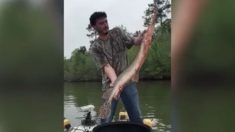 Peixe escapa das mãos de pescador durante selfie