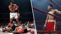 Internautas escolhem Muhammad Ali como o maior pugilista de todos os tempos em pesquisa
