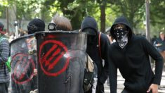 Rede quer impedir o governo de investigar Antifas