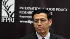 China quer liderar FAO para ter mais influência na ONU
