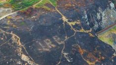 Testemunhas costeiras da Irlanda encontram incríveis geoglifos revelados por incêndios florestais