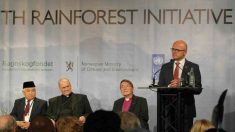 Religiosos e indígenas querem decidir na Noruega sobre florestas brasileiras