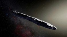 Misterioso objeto interestelar Oumuamua não é sonda alienígena, diz cientista