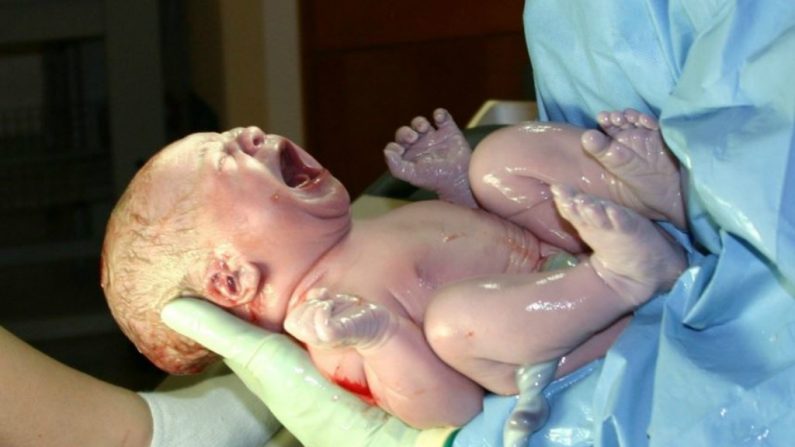 Bebê recém-nascido chora ao usar seus pulmões pela primeira vez (Wikimedia)
