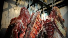 Em prol do planeta, pesquisadores pedem que brasileiros comam menos carne