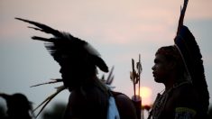 Indígenas ateiam fogo em frente ao Palácio do Planalto e bloqueiam via