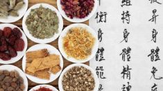 Registros históricos da medicina tradicional chinesa (Parte 2)