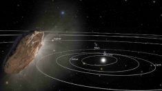 Nave alienígena se aproxima da Terra, insiste astrônomo chefe em Harvard (Vídeo)