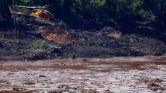 Vale fecha 2019 com prejuízo de mais de R$ 7 bilhões, após desastre em Brumadinho