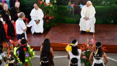 Sínodo da Amazônia: mídia de esquerda quer jogar governo contra Igreja