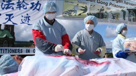 A extração forçada de órgãos na China deve acabar | Opinião