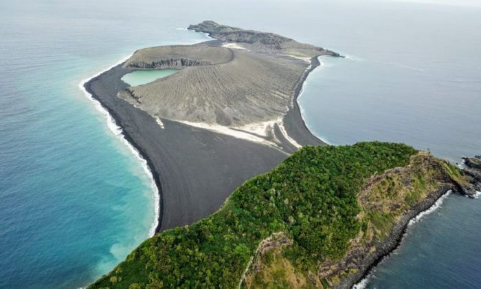 Vida coloniza ilha misteriosa que apareceu no Oceano Pacífico em 2014
