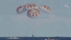 Cápsula SpaceX de Elon Musk cai na costa da Flórida e completa sua missão com sucesso