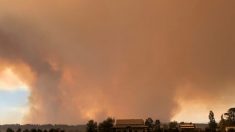 Incêndio recorde atinge Austrália após onda severa de calor