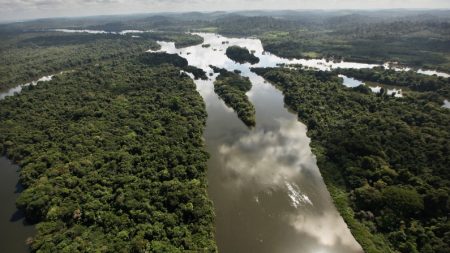Resolução no Senado dos EUA apoia defesa ambiental no Brasil e América Latina