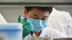 Plano da China para estabelecer um banco de dados mundial de DNA