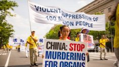 Em ligações gravadas, médicos chineses admitem extração forçada de órgãos de praticantes do Falun Dafa