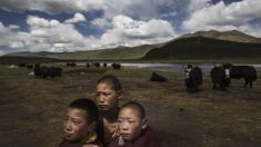 Revolução Cultural da China pode se repetir em breve no Tibete