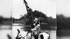 Cocar do século passado encontrado em brechó é devolvido à tribo Blackfoot