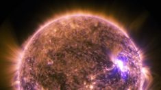 “Ameaça à sociedade moderna”: cientistas dizem que tempestade solar maciça atingiu a Terra há 2.600 anos