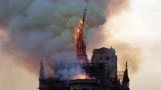 Incêndio destrói Catedral de Notre Dame, em Paris
