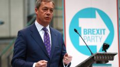 Nigel Farage funda novo partido e disputará cadeira no parlamento europeu (Vídeo)