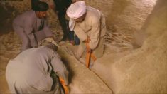 Egito revela múmia de 2.500 anos em cemitério perdido