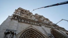 Projetos futurísticos de reconstrução da Notre-Dame geram polêmica na web (Fotos)